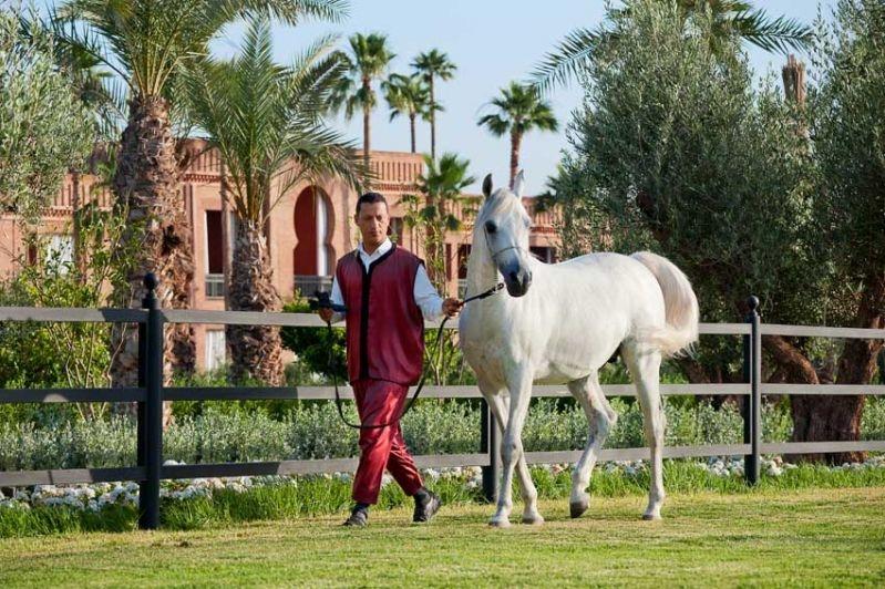 Hotel Selman Marrakech Marrakesz Udogodnienia zdjęcie