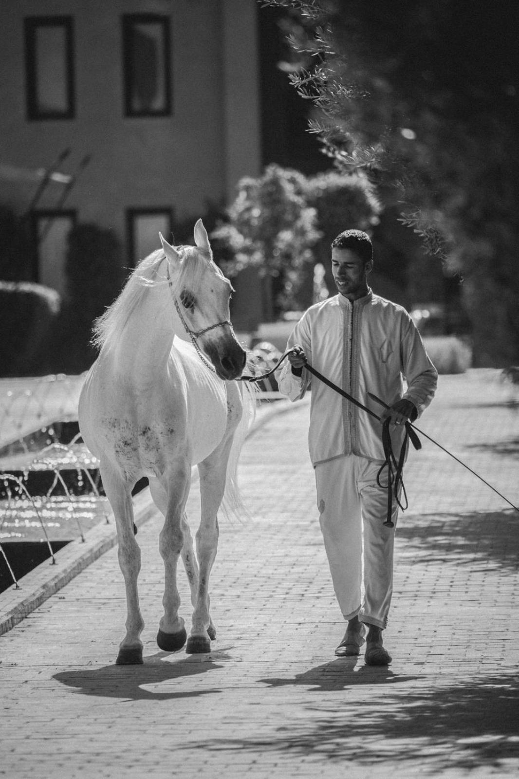 Hotel Selman Marrakech Marrakesz Zewnętrze zdjęcie